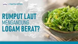 Mitos Fakta Seputar Rumput Laut, Mengandung Logam Berat? | Hidup Sehat tvOne