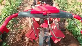 Tomato Farming | Weed Cleaning & Bed Making with Power Tiller | Modern Agriculture Techniques