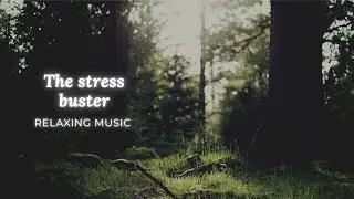meditations music | relaxation music | calm music | soft musics