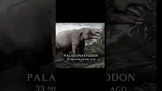 The evolution of Elephants! #evolution #elephant #prehistoric #oldearth