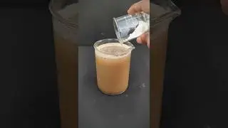 Cleaning water with Alum (fitkari) #carbon #experiment