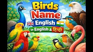 Birds Name in English and Hindi | Learn Birds Names for Kids with Pictures