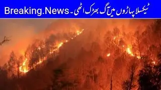 Taxila Breaking News| پہاڑوں پراچانک آگ بھڑک اٹھی ٹیکسلا