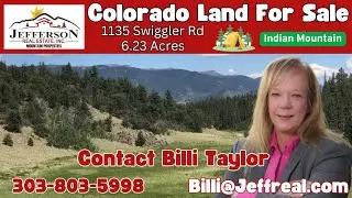 1135 SWIGGLER ROAD, Jefferson, CO | Park County Real Estate Listing