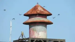 Bloomingburg, OH | FE Model 5 | Full Alert | Fayette Co. Siren Test | 11/25/2022