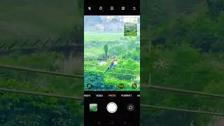 Bird's photography tips and tricks | mobile se photography kaise kare| #phonephotography #shorts #yt