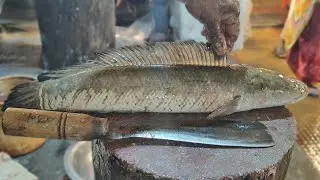 Fish Cutting Skills || Amazing!! Giant Sola Fish Skinning & Chopping By Professional Fish Cutter ||