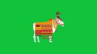 White Cow Animation | Green Screen PNG
