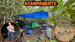 Acampamos no meio da floresta repleta de animais 