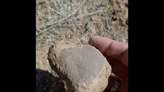 The Magic of Colors in Rocks: Hidden Beauty in Mineral Veins! #nature #metaldetecting