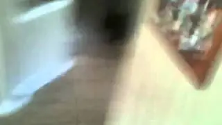 Party Snaps