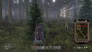 DayZ OBS2