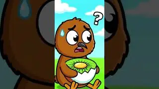 Confused Kiwi Bird Finds Kiwi Fruit in Egg! 🥝🥚❓
