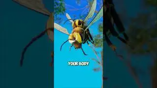 Male Bees Die After THIS 😳🐝#BeeFacts#fact #shortsfeed #shorts #trending #english #virlshortusa