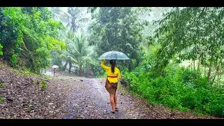 Relaxing Flute Music , Gopal Dev , Peaceful , Deep Sleep Music , Meditation Music , Heals the Mind.