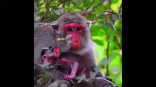 Very love baby take care from mommy