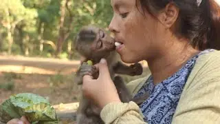 Mom KT's Mouse vs. Royston: Epic Monkey Battle & KT!