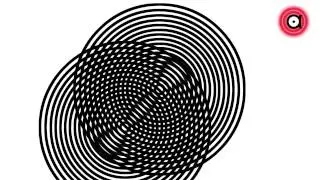 OPTICAL ILLUSIONS 3_The Moiré Pattern