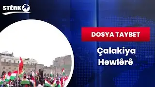 Dosya Taybet