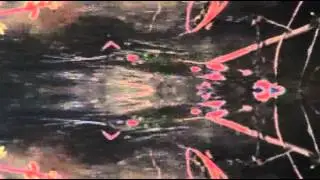Somatic Mother Cell
