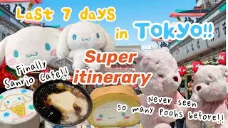 Japan VlogㅣTokyo Pt.2ㅣSanrio Cafe!ㅣKaminarimonㅣAsakusaㅣShinjukuㅣIkebukuroㅣHealing Eat Walk Shop