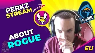 VIT Perkz About Rogue 🤔