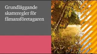 Grundläggande skatteregler för fåmansföretagaren