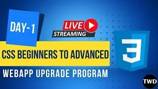 🔴 CSS Beginner to Advanced | Day 1