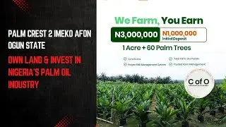 Palm Crest 2 Imeko Afon Ogun State | Own Land & Invest in Nigeria&rsquo;s Palm Oil Industry