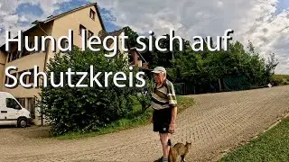 Schalenstein bildet Schutzkreis um Geb&auml;ude