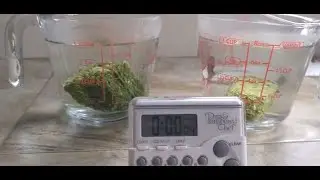 Alfalfa cube comparison video 1 Standlee v.s Forage Global