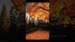 Stevie hoang - I'll be fine #music #love #heartbeatlove #lyric #popmusic