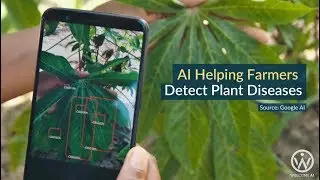 AI Helping Farmers  Detect Plant Diseases