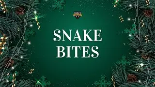 Snake Bites f&uuml;r Maximilian &ndash; clean, scharf, &auml;sthetisch I💉 Marc's Piercing TV