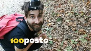 Sljeme: Gljive i kesteni sa zagrebačkog dragulja [ŽIVOT]