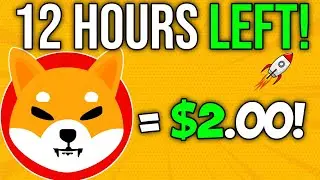 REVEALED! Shiba Inu will EXPLODE to $2! - SHIB NEWS TODAY 