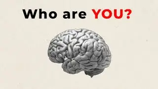 Finding your purpose in a noisy world | Self-reflection and clarity