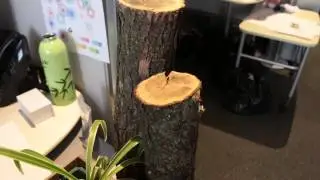 A Behind the Scenes Look at Slack and Company