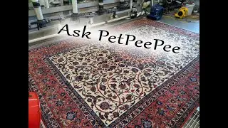 Ask PetPeePee can I Clean my Persian rug using Dry Cleaner 1