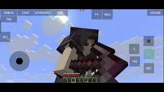 Minecraft but iam invincible
