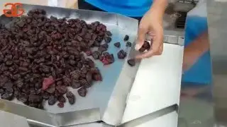 Preserved Fruit Cutting Machine/dry fruit cutter/drying fruit cutting machine price