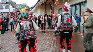 Cerbul din Deleni 2019-2020