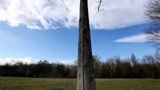 After Effects: timelapse frame blending with frame mix
