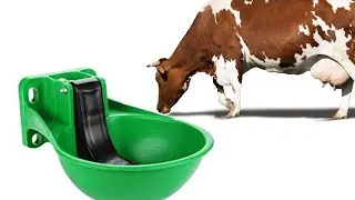 Revolutionize Your Farming with Automatic Cow Water Bowl Dispenser | Unbreakable!