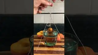 Peach Pit Hack                                       #peaches #hack #plants