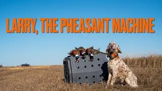 South Dakota Pheasant Hunting 2024 Round 2 | Day 3: Larry, The Pheasant Machine