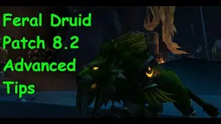 Feral Druid BFA Patch 8.2 Guide - Rounding Out Your Rotation