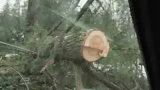 Deadly Storm Leaves Trail of Destruction in Oregon