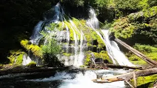 🌱 Panther Creek Falls Hidden Gem | Nature&rsquo;s Cathedral in the Woods