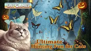 Cat Games 😺 Beetles, Butterflies & Bugs &ndash; Entertainment for Cats at Home 🐜 🦋🐞